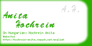 anita hochrein business card